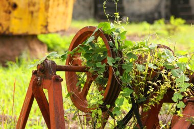 Eski paslı metal detayları yeşil çimlerde