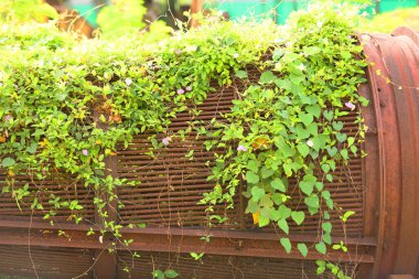 Eski paslı metal detayları yeşil çimlerde