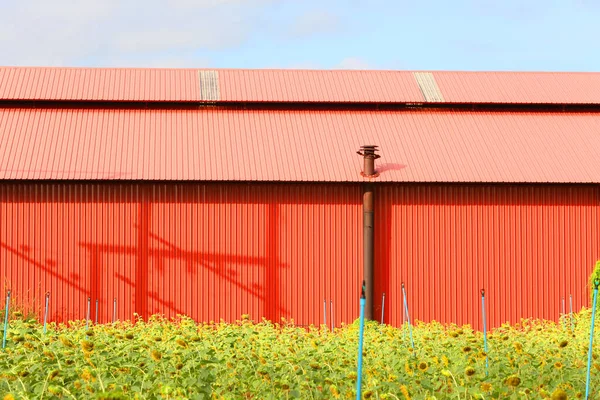 Red Roof Barn Countryside — стоковое фото