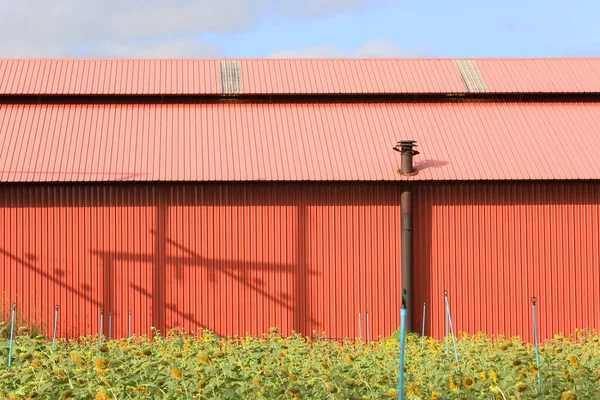 Red Roof Barn Countryside — Zdjęcie stockowe