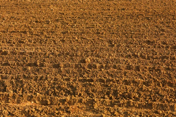 Yellow Soils Pattern Field — Stock Photo, Image