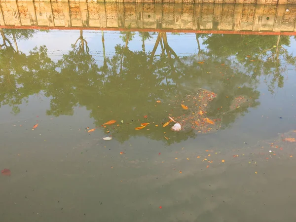 Pond Garbage Floating Water — Stockfoto