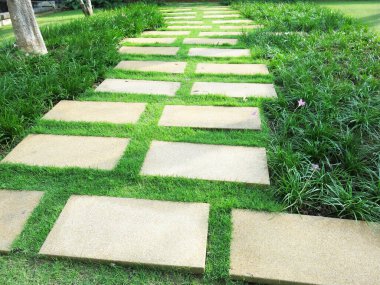 beautiful view of green garden