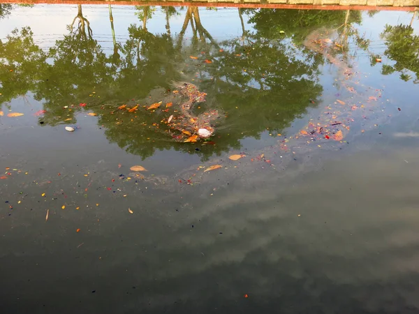 Pond Garbage Floating Water — Stockfoto