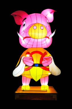 lantern with pig culture decoration in new year.