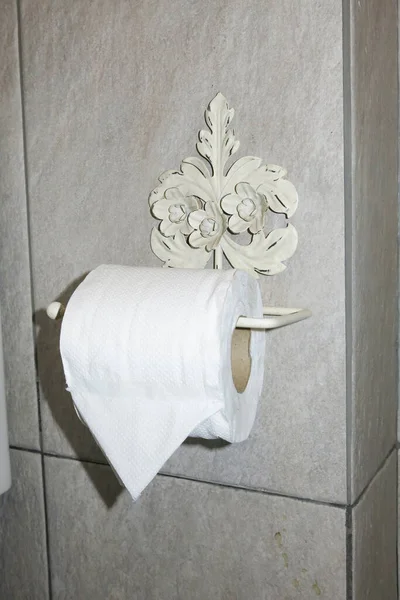 Tissue Paper Hanging Toilet — 스톡 사진