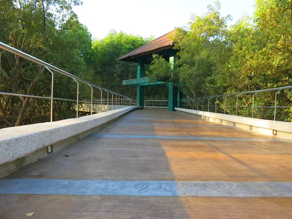 Beautiful View Bridge Park — Stockfoto