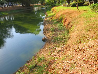 Parktaki gölün güzel manzarası