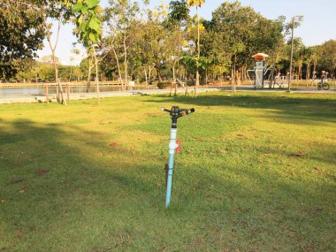 Parkın arka planında hortumu olan yeşil çimenler. 