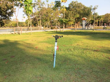 Parkın arka planında hortumu olan yeşil çimenler. 