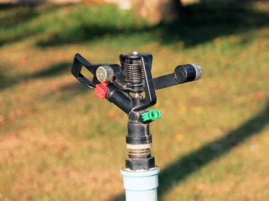 Parkın arka planında hortumu olan yeşil çimenler. 