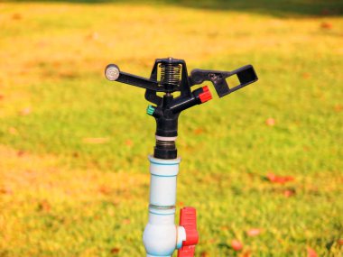 Parkın arka planında hortumu olan yeşil çimenler. 