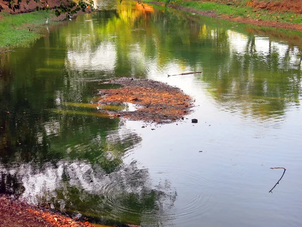 Prachtig Uitzicht Het Meer Het Park — Stockfoto