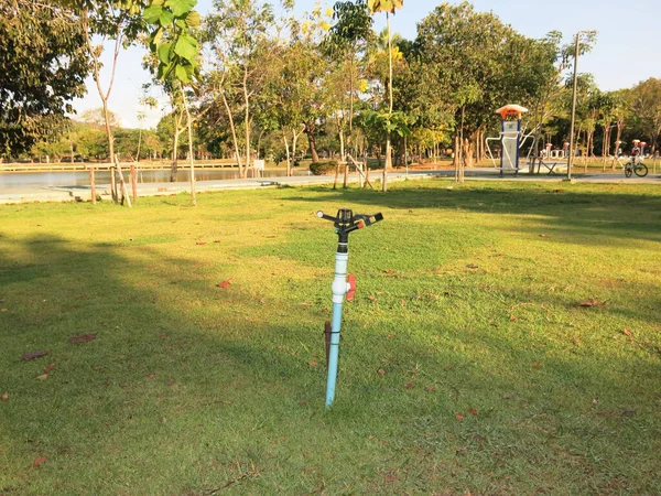 Parkın arka planında hortumu olan yeşil çimenler. 