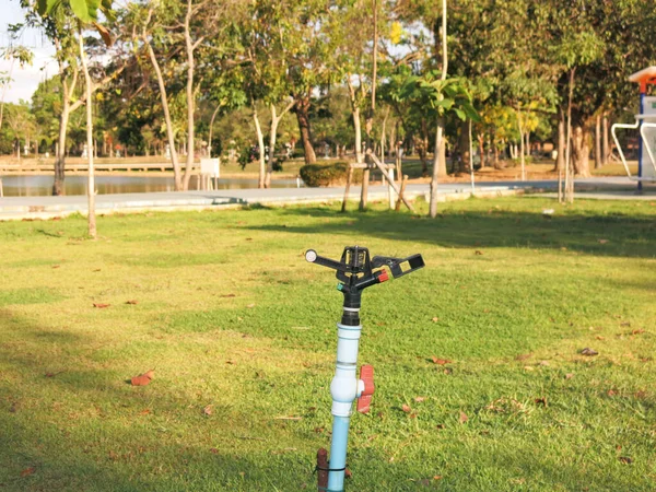 Parkın arka planında hortumu olan yeşil çimenler. 