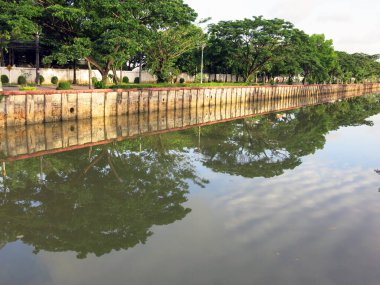 green trees reflecting in calm water of canal