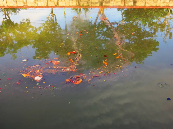 Pond Garbage Floating Water —  Fotos de Stock