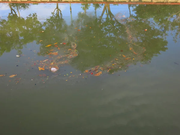 Pond Garbage Floating Water — Photo