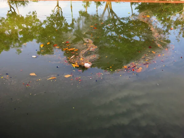 Pond Garbage Floating Water — Stockfoto