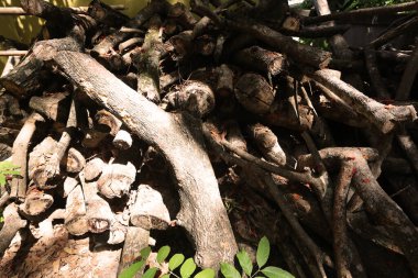 Stack of old wood in garden.