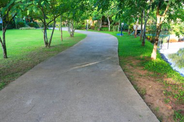 Parkın güzel manzarası