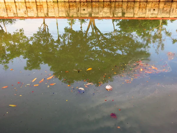 Pond Garbage Floating Water — Φωτογραφία Αρχείου