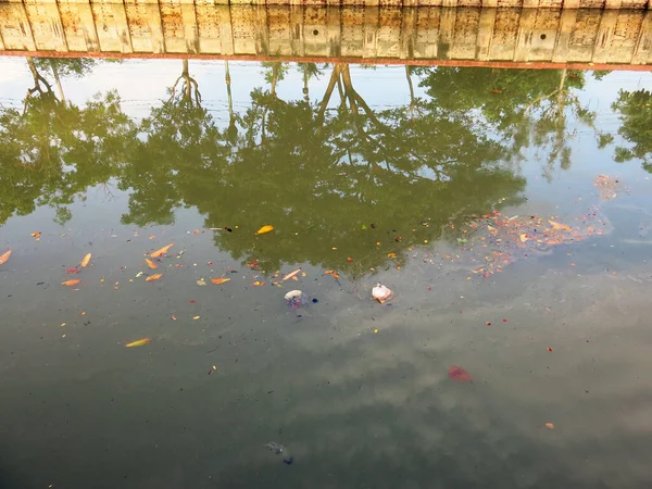 Teich Mit Wasser Schwimmendem Müll — Stockfoto