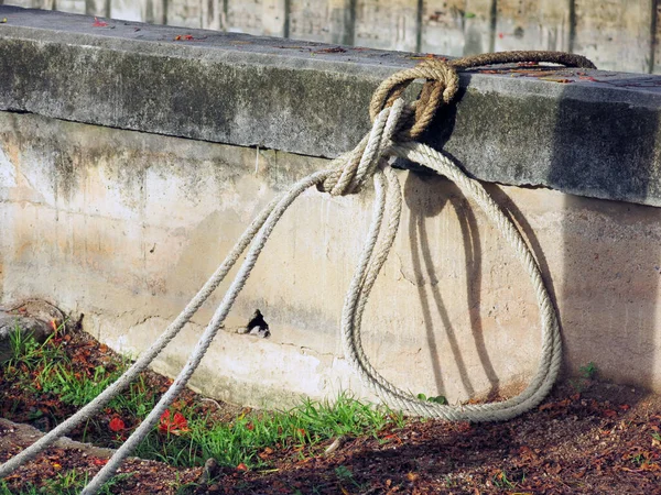 Rope Tied Tree Shore — Stockfoto