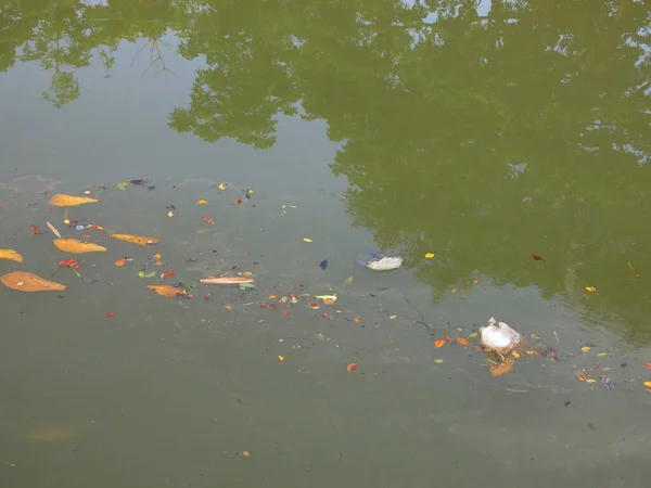 Teich Mit Wasser Schwimmendem Müll — Stockfoto