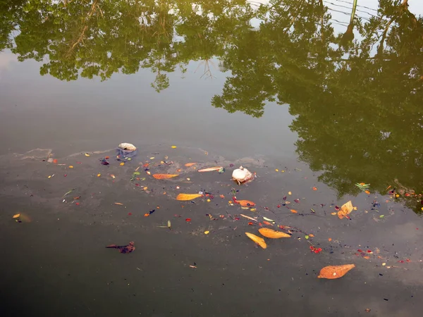 Pond Garbage Floating Water — Φωτογραφία Αρχείου