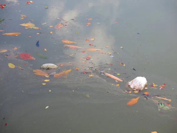 Teich Mit Wasser Schwimmendem Müll — Stockfoto