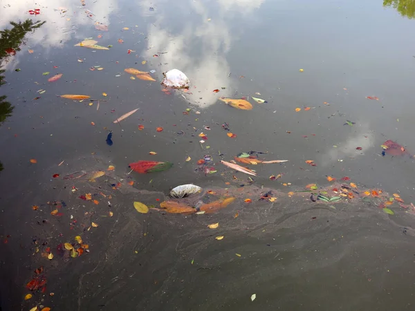 Pond Garbage Floating Water — Φωτογραφία Αρχείου