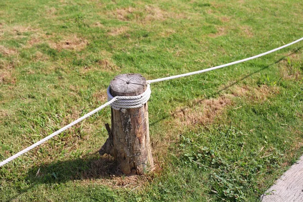 Rope Tied Tree Shore — Stok fotoğraf