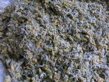 close-up view of dry herbs and plants in containers