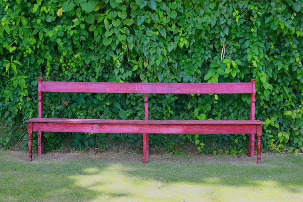 Red Wooden Bench Green Plants Garden — Stock Photo, Image