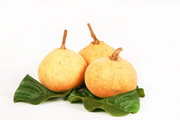Guava Fruit Fresh Healthy Tropical Fruits — Stock Photo, Image