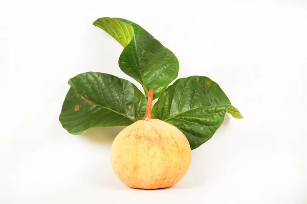 Guava Fruit Fresh Healthy Tropical Fruits — Stock Photo, Image