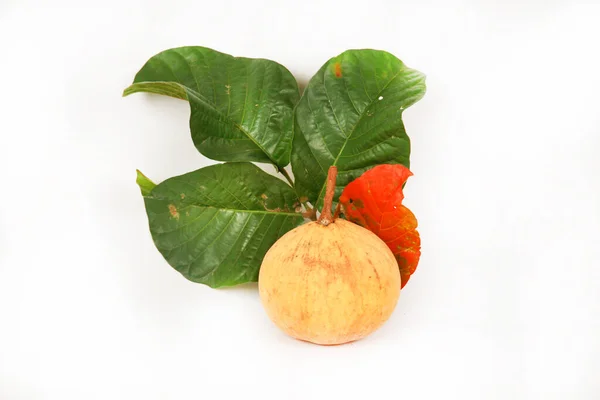 Guava Fruit Fresh Healthy Tropical Fruits — Stock Photo, Image