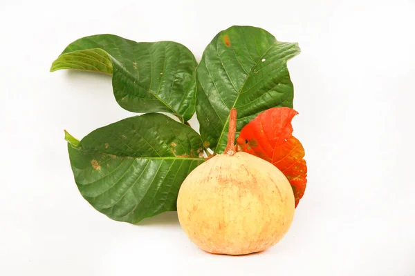 Guava Fruit Fresh Healthy Tropical Fruits — Photo