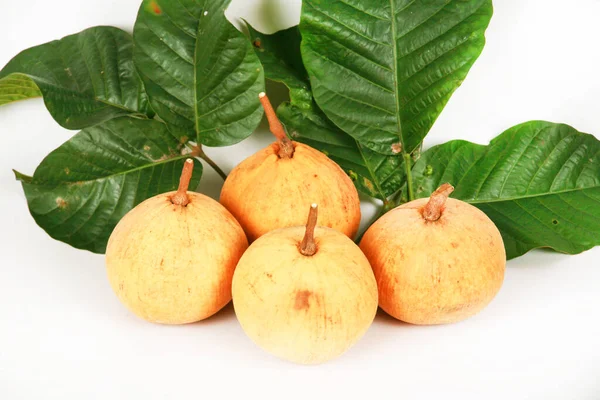 Guava Fruit Fresh Healthy Tropical Fruits — Fotografia de Stock