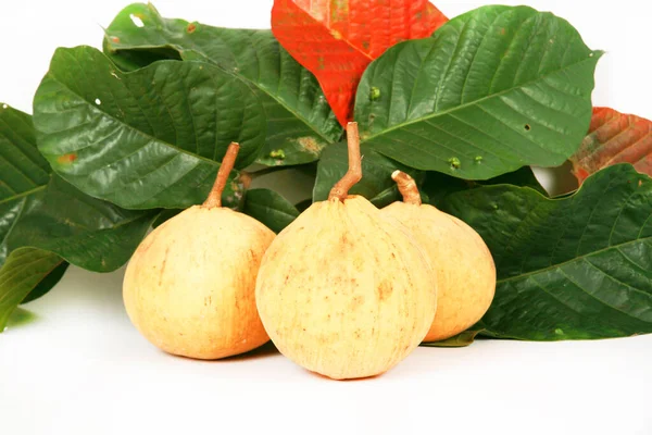 Guava Fruit Fresh Healthy Tropical Fruits — Photo