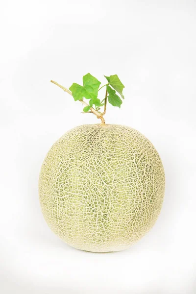 Meloun Zelenými Listy Izolované Bílém Pozadí — Stock fotografie