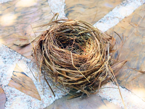 Close View Empty Bird Nest — Stockfoto