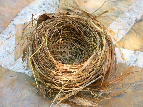 Close View Empty Bird Nest — 图库照片