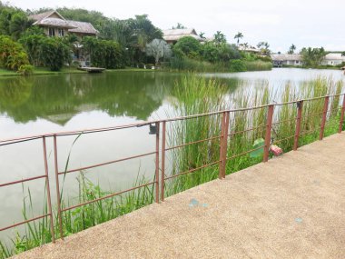 Parktaki gölün güzel manzarası