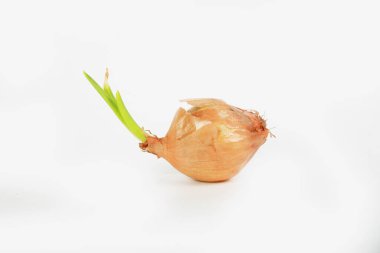 Beyaz arkaplanda izole soğanlar 