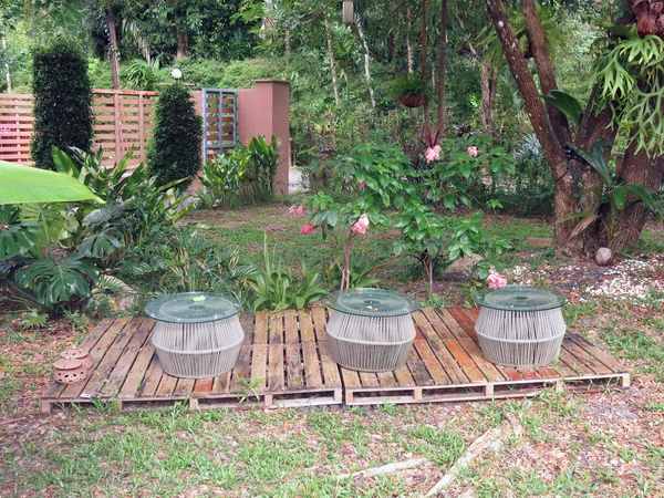 Indah Kebun Dengan Bunga Dan Tanaman — Stok Foto