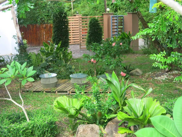 Hermoso Jardín Con Flores Plantas — Foto de Stock