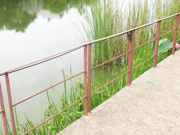 Prachtig Uitzicht Het Meer Het Park — Stockfoto