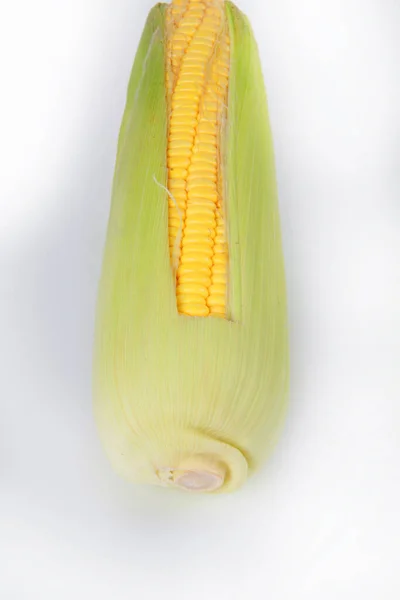 Fresh Corn White Background — Stock Photo, Image